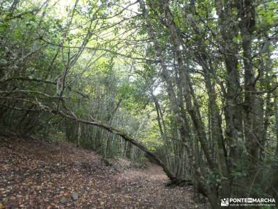 Parque Natural Babia y Luna; Tierra de Pastores Trashumantes; viajes esqui ofertas viajes octubre ho
